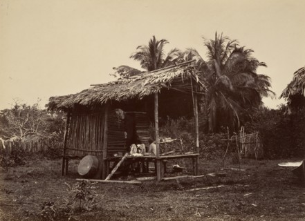 Tropical Scenery, Native Hut, Turbo, 1871.