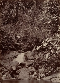 Tropical Scenery, Cascade, Limon River, 1871.