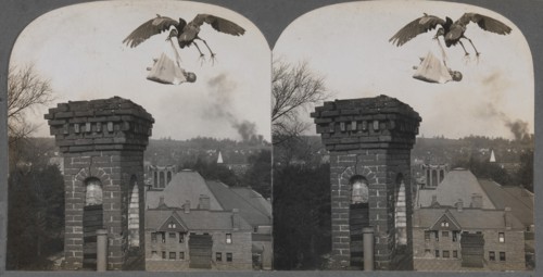 In Olden Times, if Folks Were Good, the Stork Would Bring a Baby Sweet and Fair, 1907.