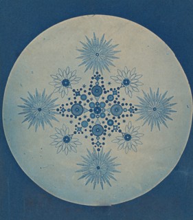 [Frustules of Diatoms], ca. 1870.