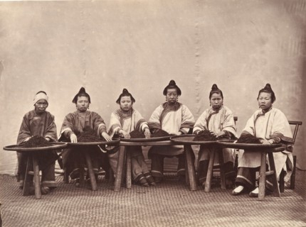 Culling Tea, ca. 1869.