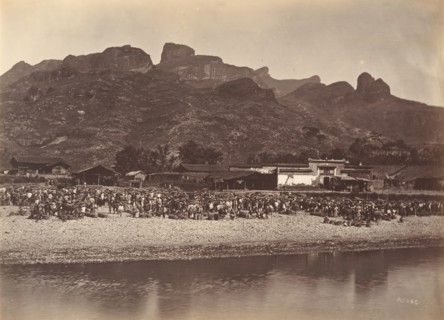 Duck Market, ca. 1869.