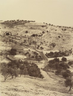 Jérusalem. (Environs) Jardin Gethsemani et Mont des Oliviers, 1860 or later.