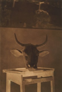 [Still Life], 1850.
