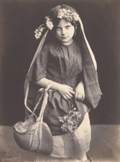 Wild Flowers, ca. 1857.
