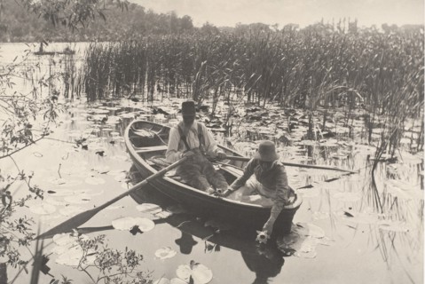 Gathering Water-Lilies, 1886.