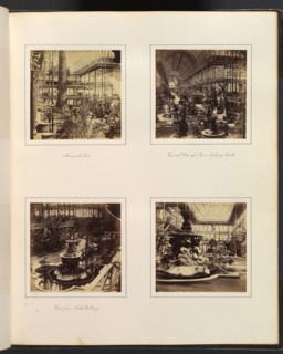 [Mammoth Tree; General View of Nave, Looking South; View from North Gallery; Classical Fountain], ca. 1859.