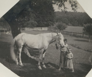 Thomas Eakins's Horse Billy and Two Crowell Children at Avondale, Pennsylvania, ca. 1892.