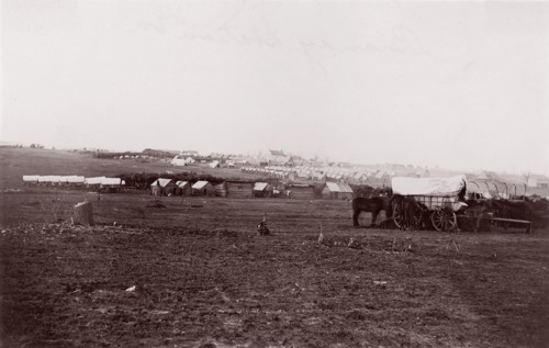 Brandy Station, Virginia, 1863-64. Formerly attributed to Mathew B. Brady.