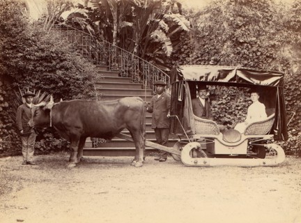 Hack Madeira, 1880s.