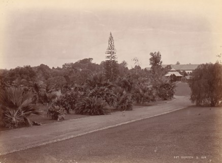 Botanical Garden, 1860s-70s.