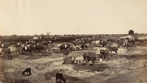 Hatti Kana-The Elephant Camp, 1858-61.