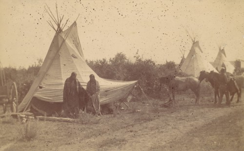 Native American Women and Horses by Teepee in Camp, 1880s-90s.