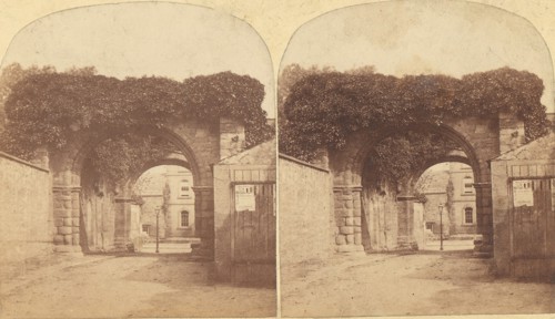 Group of 16 Early Stereograph Views of British Abbeys, 1850s-60s.
