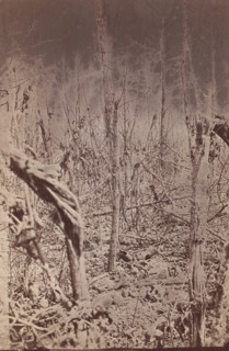 The Wilderness Battlefield, 1865-67.
