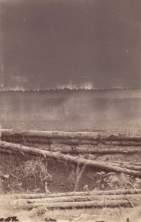 The Wilderness Battlefield, 1864.