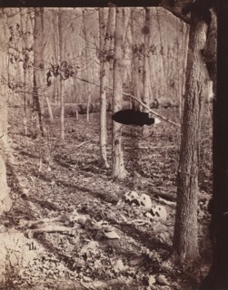 The Wilderness Battlefield, 1864.
