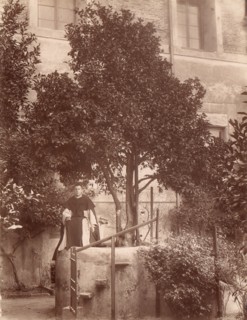 St. Dominic's Orange Tree on the Aventine, 1880s.