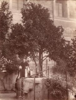 St. Dominic's Orange Tree on the Aventine, 1880s.