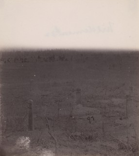 The Wilderness Battlefield, 1864.