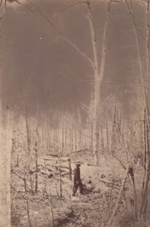 The Wilderness Battlefield, 1864.