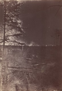 The Wilderness Battlefield, 1864.