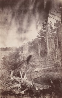 The Wilderness Battlefield, 1864.