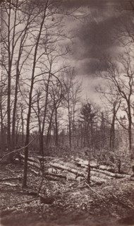The Wilderness Battlefield, 1864.
