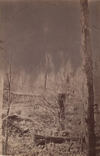 The Wilderness Battlefield, 1864.