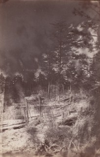The Wilderness Battlefield, 1864.