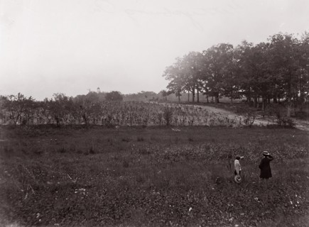 Gettysburg, Pennsylvania, 1863. Formerly attributed to Mathew B. Brady.