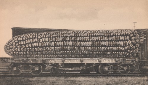 A Car Load of Texas Corn, ca. 1910.