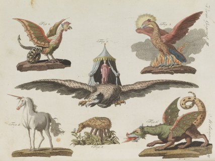 Children's Picture Book (Children's encyclopaedia) by Friedrich Johann Justin Bertuch, 1798-1830. Creator: Pupils of the Weimar Princely Free Drawing School.