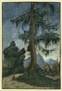 Landscape with a spruce, ca 1522. Creator: Altdorfer, Albrecht (c. 1480-1538).