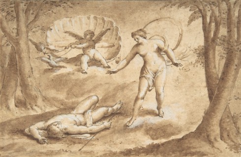 Venus Discovering the Death of Adonis, 17th century. Creator: Anon.