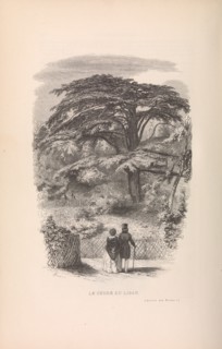 Le Jardin des Plantes, Descriptions et Moeurs des Mammiferes, 1842. Creator: Francois Boitard.