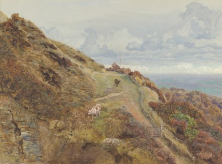 Bonchurch Downs, 1865. Creator: John Brett.