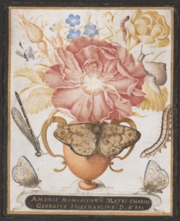 Still Life with Flowers, a Snail and Insects, 1589. Creator: Joris Hoefnagel.