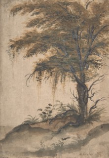 Study of a Tree, mid-16th-early 17th century. Creator: Marten van Valckenborch.