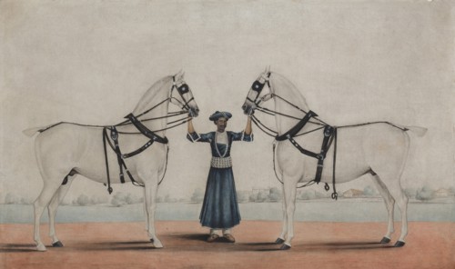 A Syce (Groom) Holding Two Carriage Horses, ca. 1845. Creator: attributed to Shaikh Muhammad Amir of Karraya.
