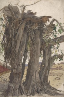Study of a Stump with Aerial Roots, mid-19th-early 20th century. Creator: Woldemar Friedrich.
