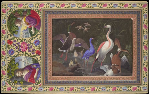 Aquatic Birds at a Pool, Folio from the Davis Album, 18th century. Creator: Unknown.