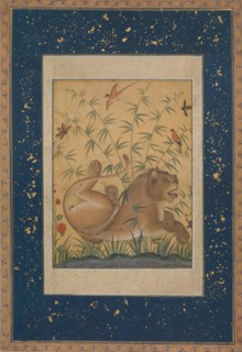 Lion at Rest, ca. 1585. Creator: Mansur.