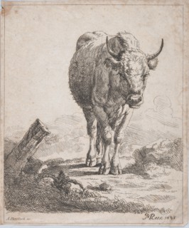 A cow, seen from the front, 1805. Creator: Adam von Bartsch.