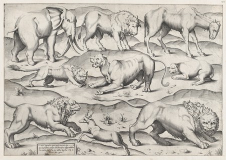 Speculum Romanae Magnificentiae: Wild Animals, from antique wall paintings, plate 1, 1547., 1547. Creator: Anon.