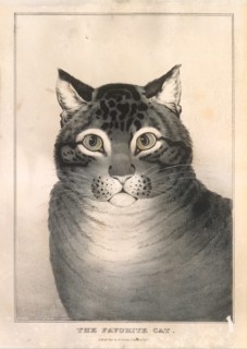 The Favorite Cat, 1838-46., 1838-46. Creator: Nathaniel Currier.