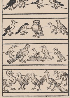 Page from Ein new kunstlich Modelbuch...(Page 8r), 1544., 1544. Creator: Peter Quentel.