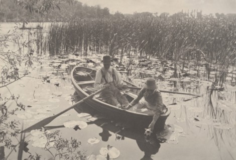 Life and Landscape on the Norfolk Broads, 1885-86., 1885-86. Creator: Dr Peter Henry Emerson.