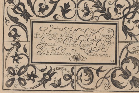 Ghirlanda: Di sei vaghi fiori scielti da piu famosi Giardini d'Italia, page 37 ..., October 1, 1604. Creators: Pietro Paulo Tozzi, Antonello Bertozzi, Sebastian Zanella.