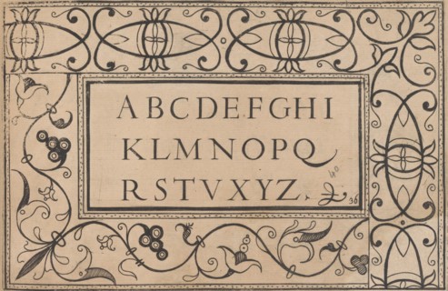 Ghirlanda: Di sei vaghi fiori scielti da piu famosi Giardini d'Italia, page 48 ..., October 1, 1604. Creators: Pietro Paulo Tozzi, Antonello Bertozzi, Sebastian Zanella.